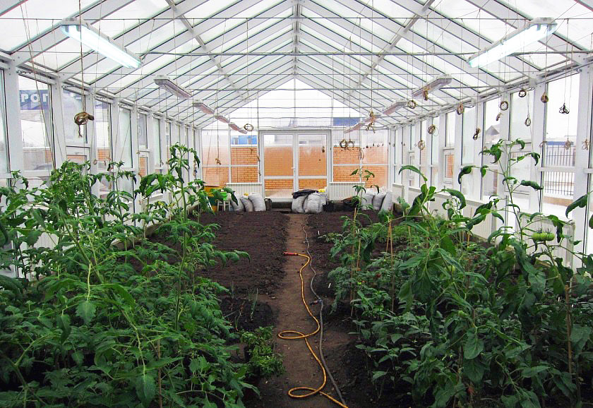 How to Keep Efficient and Effective Greenhouse 