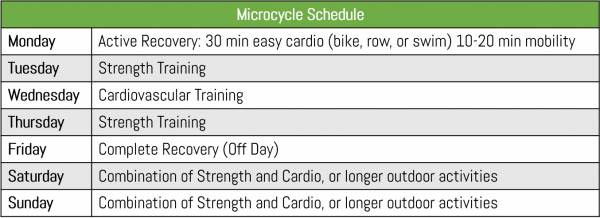 Intelligent Training : A Periodization Primer