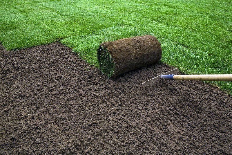 Replacing Grass with Sod