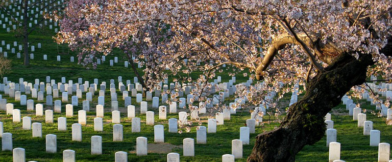 Memorial Day History