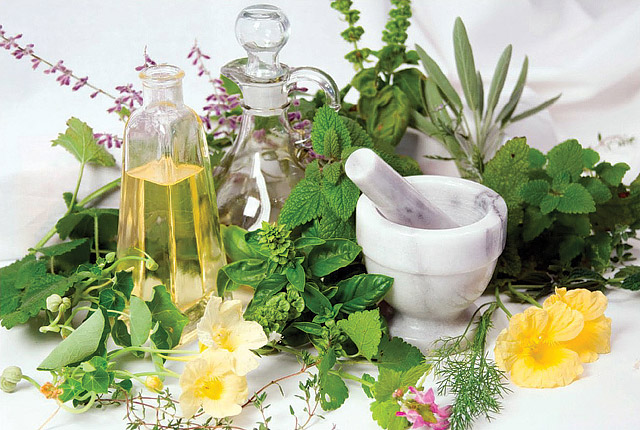 Growing Medicinal Herbs and Plants at Home