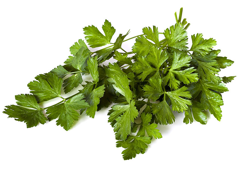 Most Under-Rated Healing Herbs