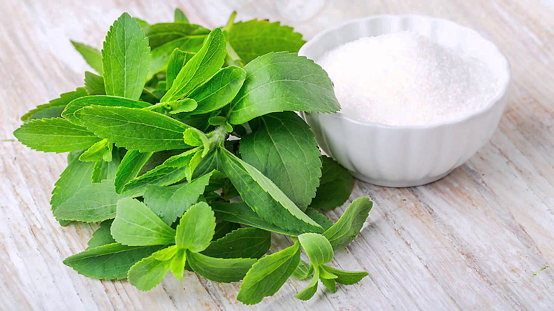 Most Under-Rated Healing Herbs