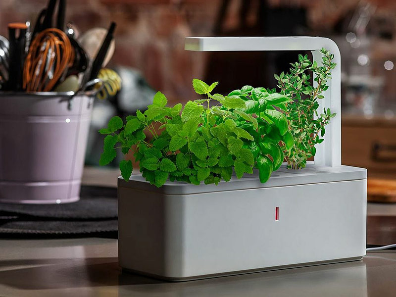 Click and Grow - Smart Herb Garden