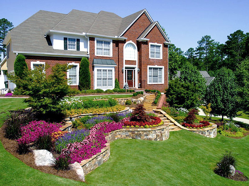 Choosing Perfect Landscaping Plants for Outdoors 