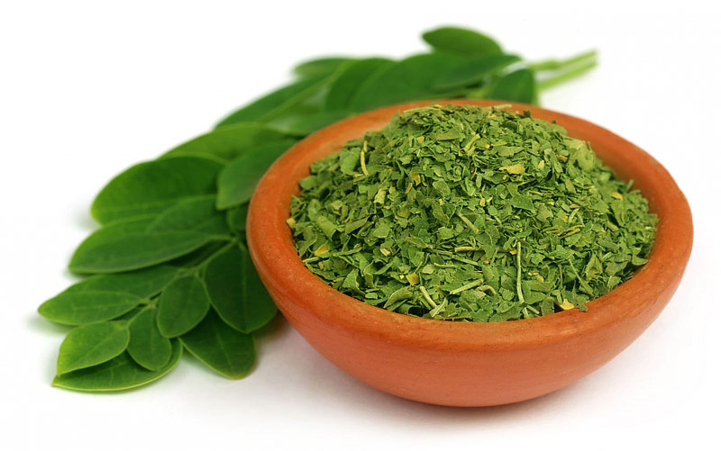 Have you ever heard of Moringa?