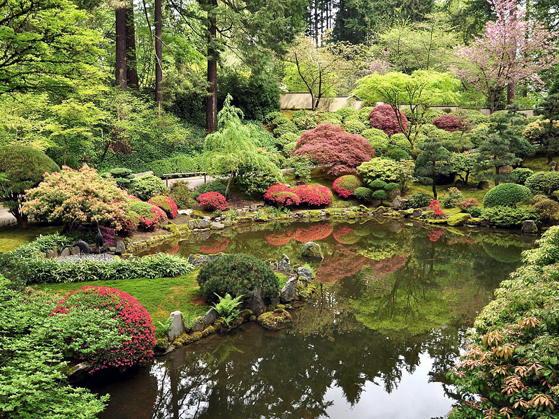 Choosing Perfect Landscaping Plants for Outdoors