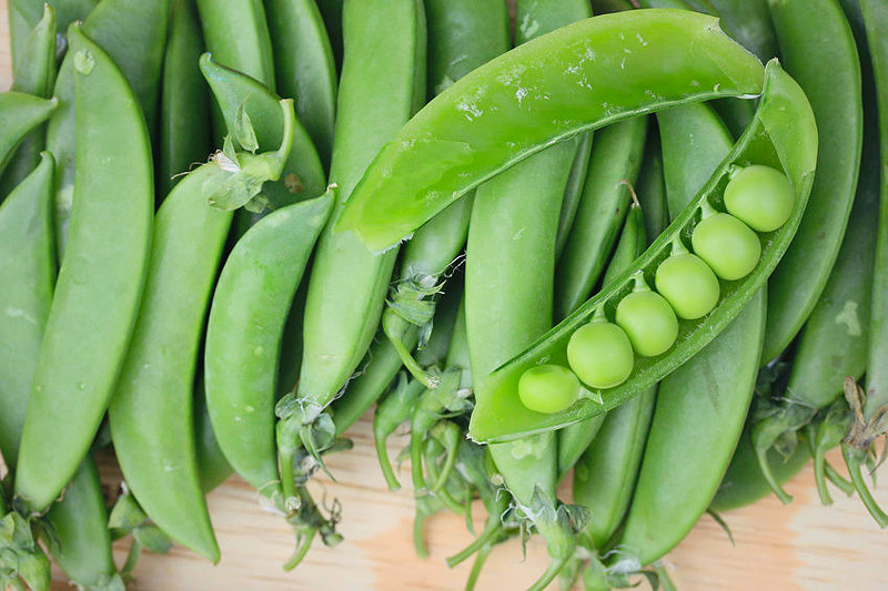 Edamame / Soya Beans - Growing Guide