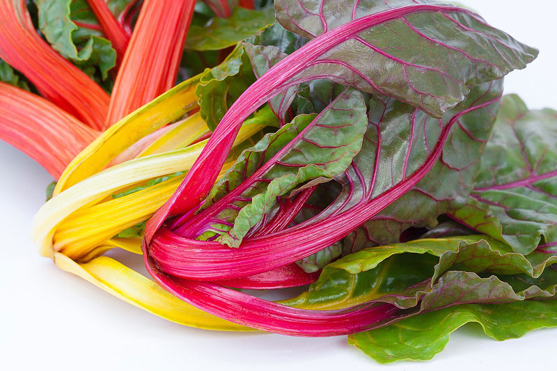 Swiss Chard - Growing Guide