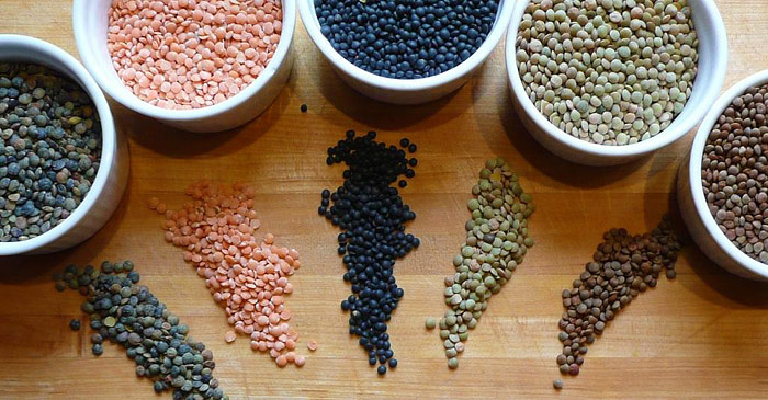 Everything You Should Know About Lentils