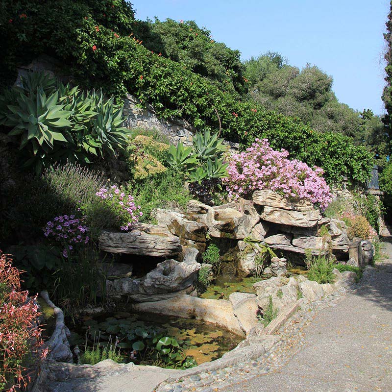 Beautiful Rock Garden Ideas