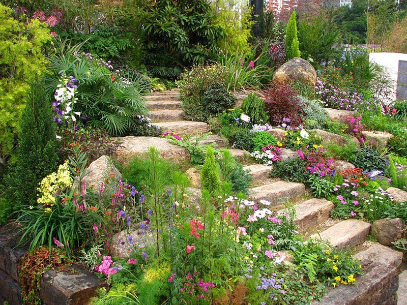 Beautiful Rock Garden Ideas
