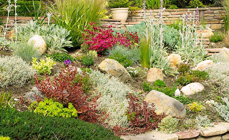 Beautiful Rock Garden Ideas