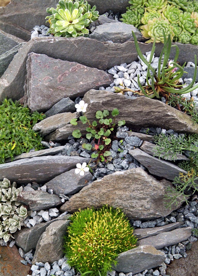 Beautiful Rock Garden Ideas