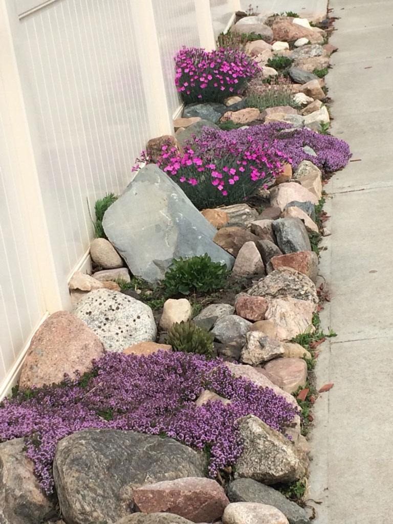 Beautiful Rock Garden Ideas