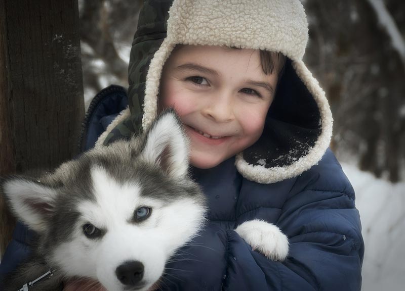Surprising Reasons Why Your Child Needs a Pet