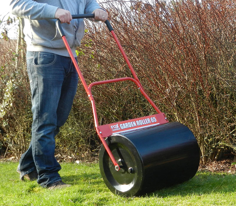 Rolling a Lawn - How and When to Do It