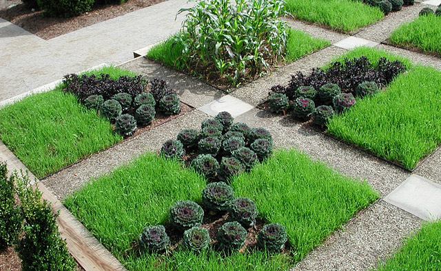 Garden Geometrical Design