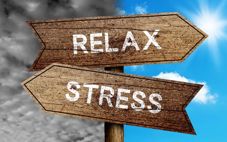 The Science of Stress