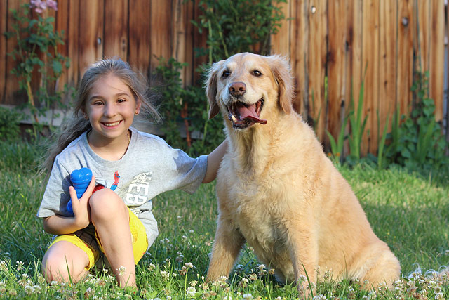 Best Dog Breeds For Children