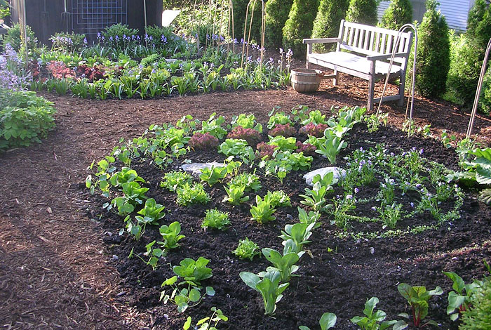 Ultimate Kitchen Garden Planner