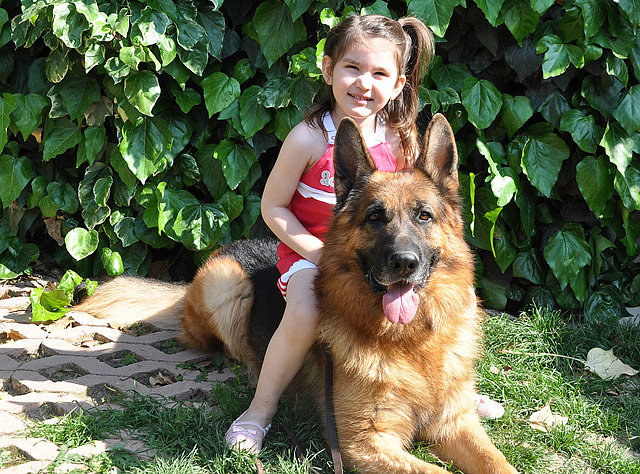 Best Dog Breeds For Children