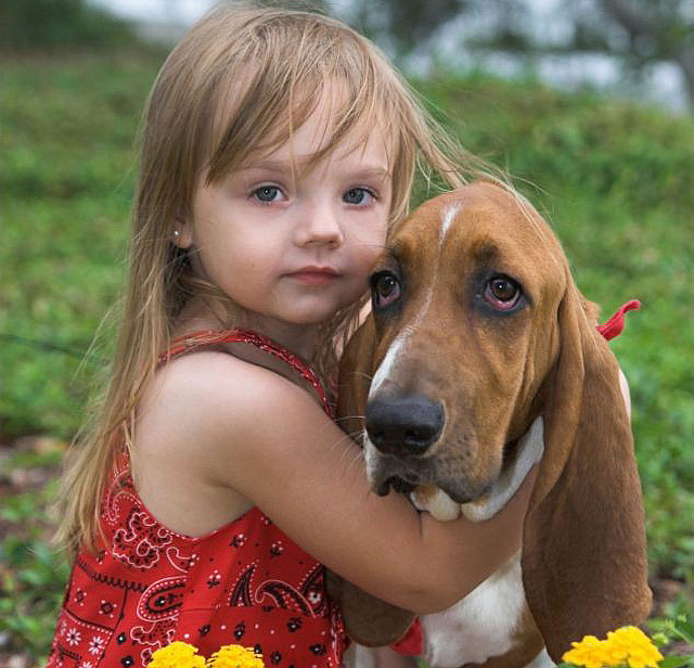 Best Dog Breeds For Children