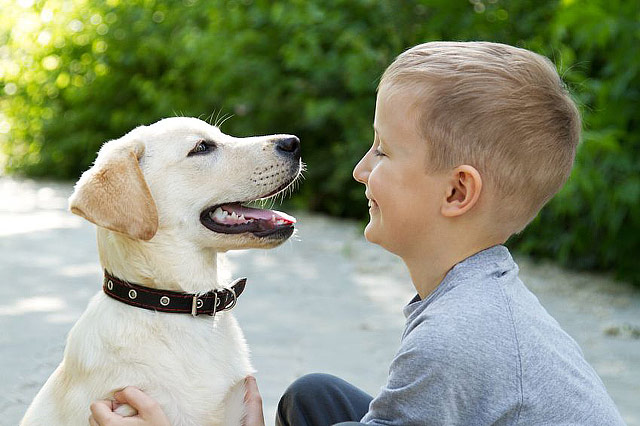 Best Dog Breeds For Children