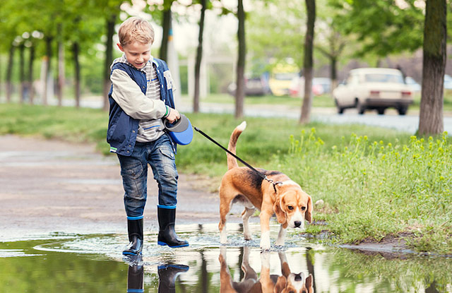 Best Dog Breeds For Children