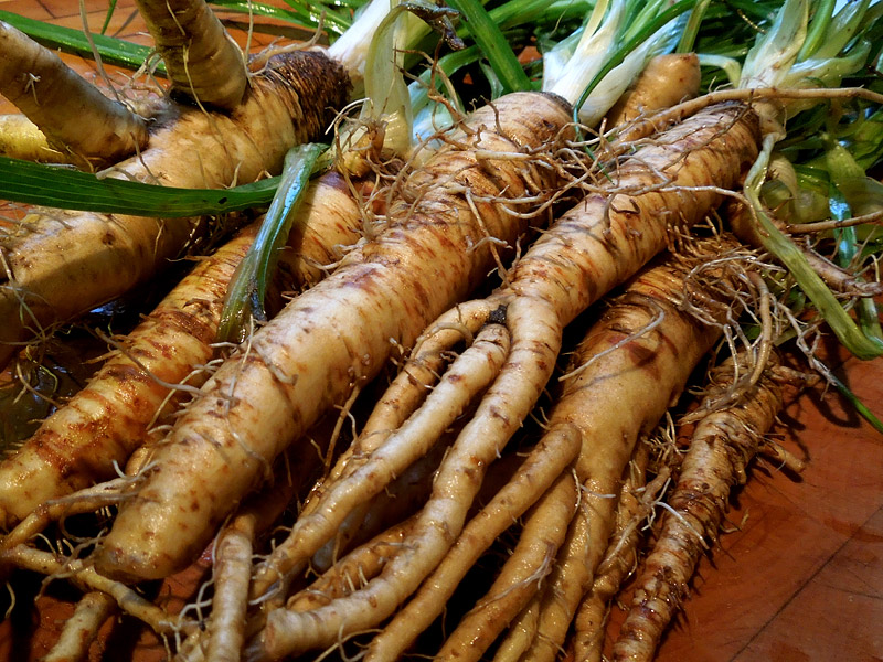 Weird Vegetables You've Probably Never Heard Of