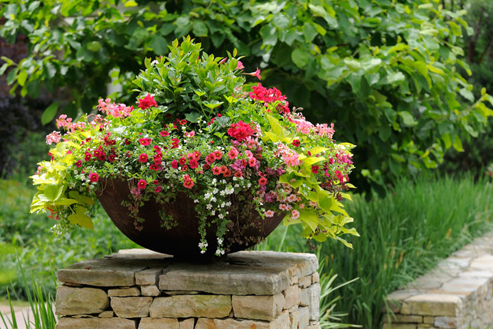 A Crash Course in Container Gardening - Quiet Corner