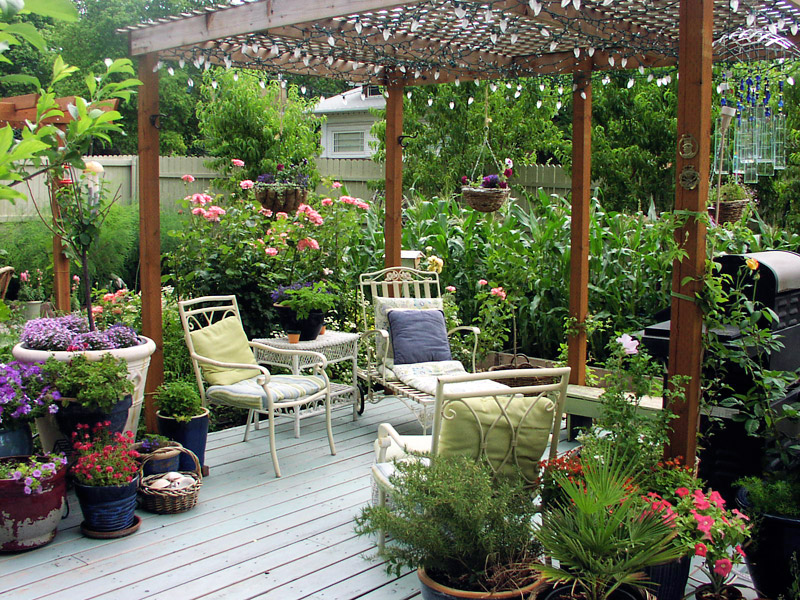 Decorate Your Deck With Plants 