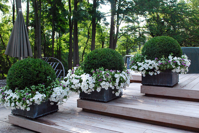 Decorate Your Deck With Plants 