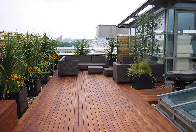 Decorate Your Deck With Plants 