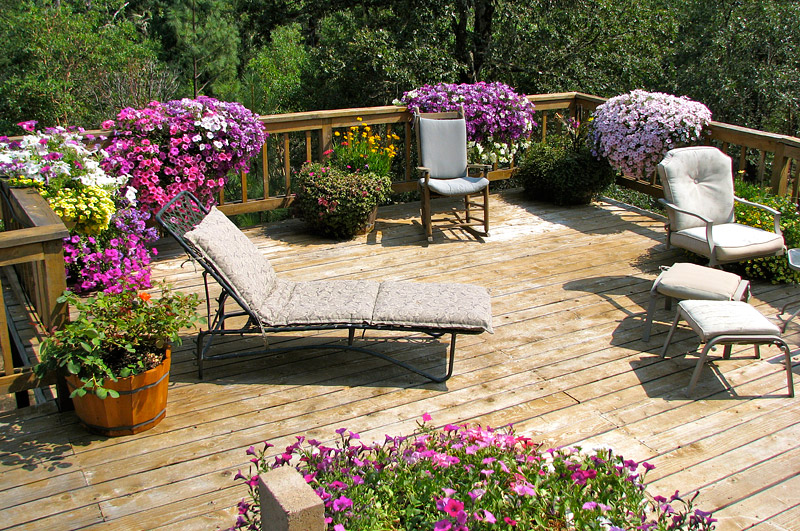 Decorate Your Deck With Plants 