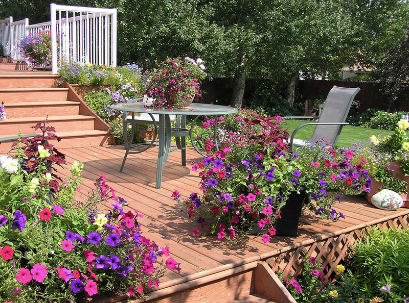 Decorate Your Deck With Plants 