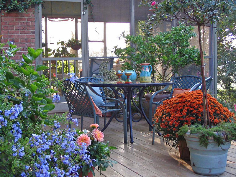 Decorate Your Deck With Plants 