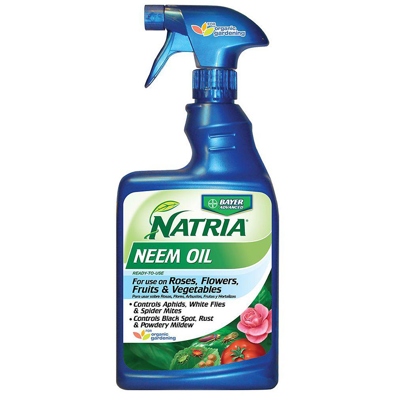 Neem Oil Works Wonders For Your Plants & Garden