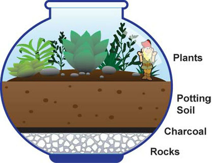 Everything You Need to Know About Making Terrarium