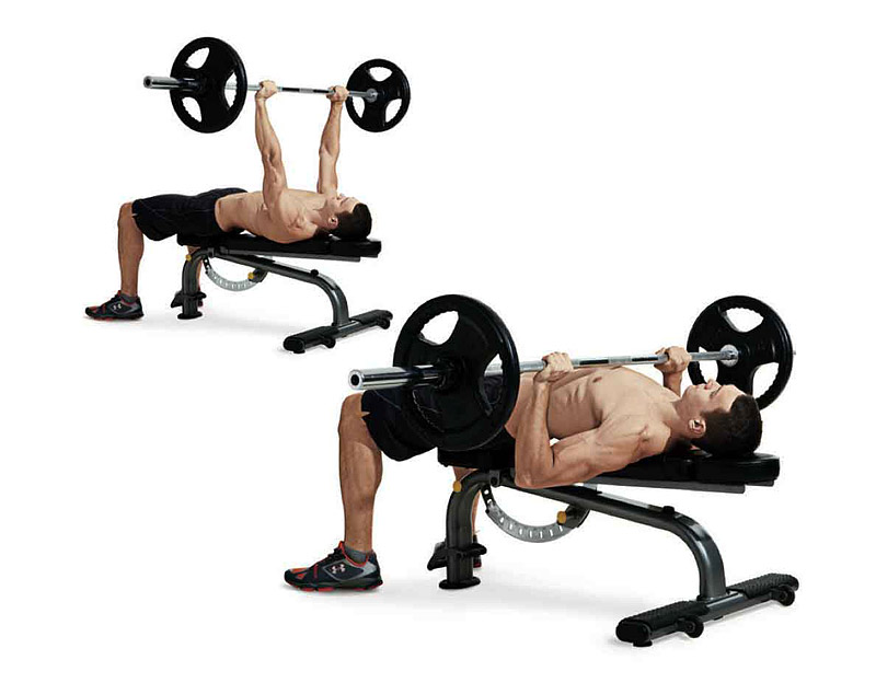 Become an Expert at the Bench Press Exercise