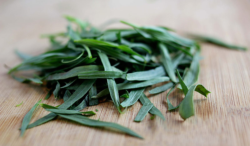 Tarragon - Growing Guide 