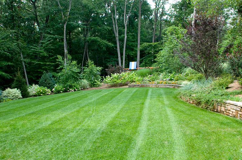 Organic Lawn Care: Season by Season