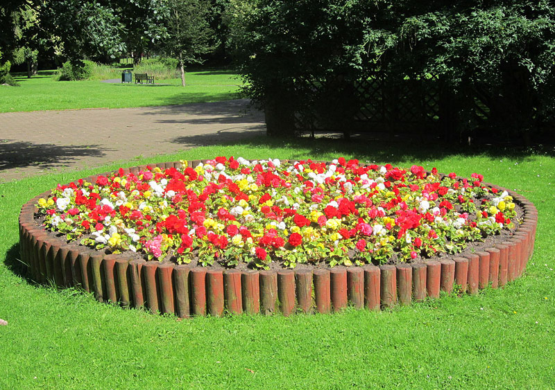 Flowerbed Edging: What to Know