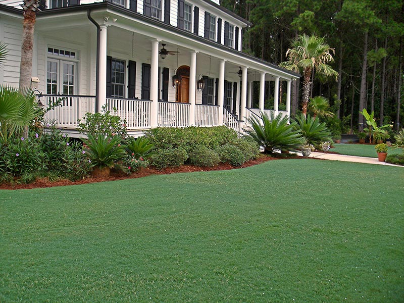 Bermuda Grass Lawn Care