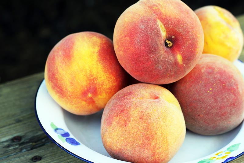 Delicious Grilled Peaches Recipe