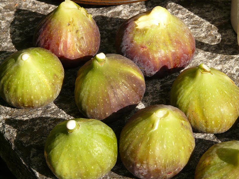 Health Benefits of Fabulous Figs
