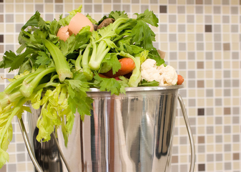 How to Grow a Vegetable Garden from Food Scraps
