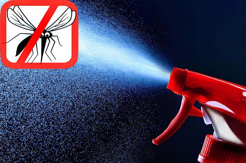 Make Your Own Mosquito Repellent