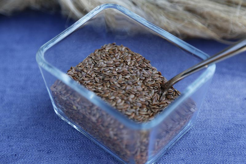 Add To Your Diet this Superfood Seeds