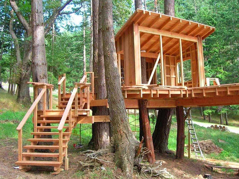 Wonderful Tree Houses Ideas